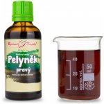 Bylinné kapky Pavlovy Pelyněk pravý tinktura 50 ml – Hledejceny.cz