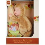 Anne Geddes miminko medvídek 23 cm – Hledejceny.cz