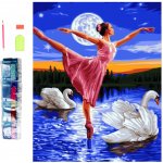 Norimpex Diamantové malování Baletka mezi labutěmi 30 x 40 cm – Hledejceny.cz