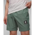 Mammut Massone Sport shorts Men – Sleviste.cz