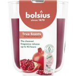 Bolsius True Scents Pomegranate 85 x 97 mm – Zboží Mobilmania