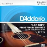 D'addario EFT16 – Hledejceny.cz