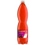 Magnesia Red Brusinka jemně perlivá 1,5 l – Hledejceny.cz