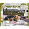 Malování podle čísla Royal Langnickel malování podle čísel Spící pes s kočkou