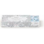 Biogena Magická zima vánoční kazeta čajů 4 x 12 ks – Hledejceny.cz