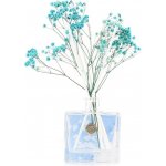 Ashleigh & Burwood Life in Bloom Wisteria & White Woods 100 ml – Zboží Dáma