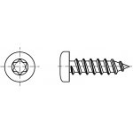 PROFISTYL DIN 7981C šroub do plechu s půlkulatou hlavou TORX (ostrá špička) pozink Varianta: DIN 7981C šroub do plechu půlkulatá hlava TORX ZnB 5,5x25 – Zboží Mobilmania