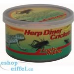 Lucky Reptile Herp Diner cvrčci velcí 35 g – Zboží Dáma