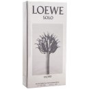 Parfém Loewe Solo Cedro toaletní voda pánská 100 ml