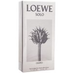 Loewe Solo Cedro toaletní voda pánská 100 ml – Hledejceny.cz