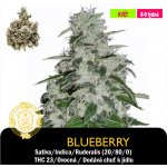 Drskunk Blueberry Feminizováno semena neobsahují THC 1 ks – Sleviste.cz