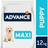 Granule pro psy Advance Maxi Puppy Protect 12 kg