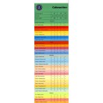 Coloraction A4 80 g 100 listů – Zboží Živě