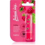 Regina Malina pomáda na rty jelení lůj 4,5 g – Zboží Dáma