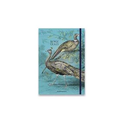 Shkolyaryk Náčrtník Muse Sketch & Note Born Gold A5 tečkovaný 80 listů – Sleviste.cz