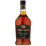 Fernet Stock Napoleon Ambassador 28% 0,7 l (holá láhev) – Zboží Dáma