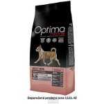 Optima Nova Dog Adult MINI Sensitive Grain Free Salmon 0,8 kg – Hledejceny.cz