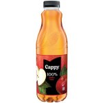 Cappy Jablko 100% 1l – Hledejceny.cz