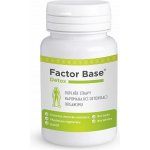 OKG Factor Base Detox 60 tablet – Hledejceny.cz