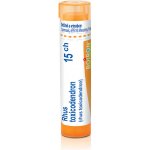 RHUS TOXICODENDRON POR 15CH GRA 4G – Zboží Mobilmania