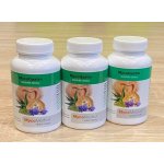 MycoMedica Polyporus prášek 3 x 100 g – Hledejceny.cz
