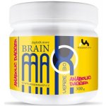 Votamax BrainMax 3.0 320 g – Sleviste.cz