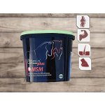 Premin Plus MSM 1 kg – Zboží Dáma