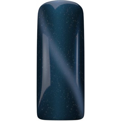 Magnetic Nail Cat Eye Star Sapphire Magnetický gel lak na nehty Kočičí oko 15 ml – Zbozi.Blesk.cz