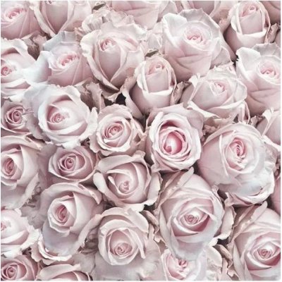 Ambiente Europe BV ubrousek 33x33 cm Růže vintage – Zboží Dáma