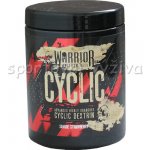 Warrior Cyclic 400 g – Zboží Dáma
