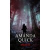 Kniha Zmizení - Amanda Quick