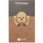 Flexibilní magnetická záložka Macnettic, Champagne – Hledejceny.cz
