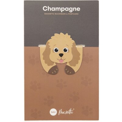 Flexibilní magnetická záložka Macnettic, Champagne – Hledejceny.cz