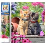 Norimpex Diamantový obrázek malování Koťata v zahradě 30 x 40 cm – Hledejceny.cz