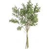 Květina Kytice 'Boxwood' zelená V36, P16 cm
