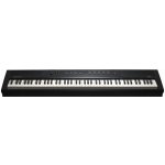 Kurzweil KA E1 – Hledejceny.cz