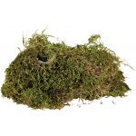 Trixie Reptiland mech do terária 200 g – Zboží Dáma Trixie Reptiland mech do terária 200 g – Zboží Dáma