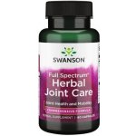 Swanson Herbal Joint Care 60 kapslí – Hledejceny.cz