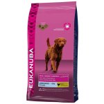 Eukanuba Adult Light Large Breed 15 kg – Zboží Mobilmania