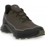 Salomon Alphacross 4 GTX M L47116900 olive night black moss gray – Zboží Dáma