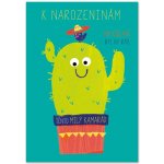 Ditipo Hrací přání CHLUPATÝ KAKTUS / Jiří Korn c002161 – Sleviste.cz