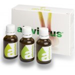 Allivictus česneková tinktura 3 x 25 ml – Hledejceny.cz