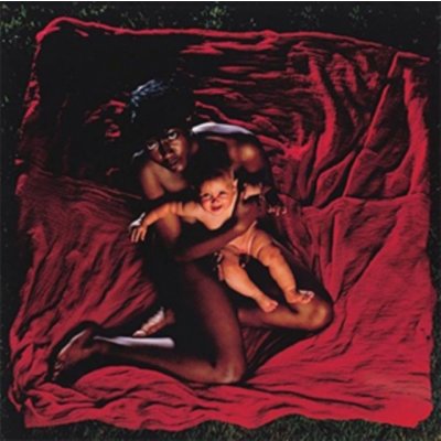 Congregation The Afghan Whigs LP – Hledejceny.cz