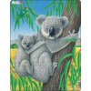 Puzzle Larsen Koala 25 dílků