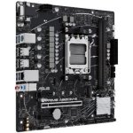 Asus PRIME A620M-E-CSM 90MB1F50-M0EAYC – Zboží Živě