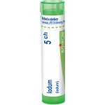 IODUM POR 5CH GRA 1X4G – Hledejceny.cz