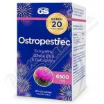 GS Ostropestřec 6500 mg 80 tablet – Hledejceny.cz