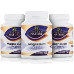 Golden Nature Magnesium Malate Hořčík+Vitamin B6 2+1 300 kapslí – Hledejceny.cz
