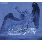 Franz Liszt - Liszt/Schubert Schwanengesang SACD – Hledejceny.cz