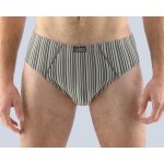 Gina pánské slipy se širším bokem širší bok šité 71112P – Sleviste.cz